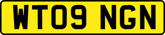 WT09NGN