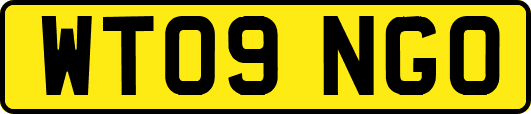 WT09NGO