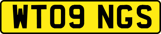 WT09NGS