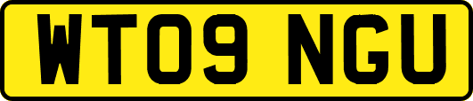WT09NGU