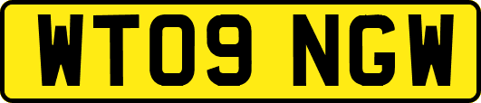 WT09NGW