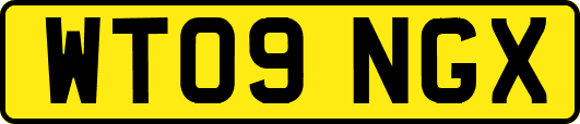 WT09NGX