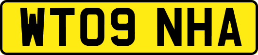 WT09NHA