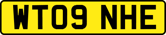 WT09NHE