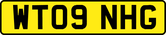 WT09NHG