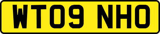 WT09NHO