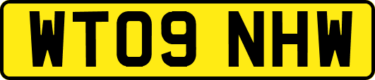 WT09NHW