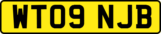 WT09NJB