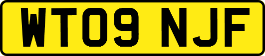 WT09NJF