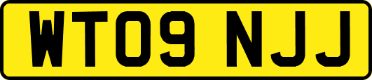 WT09NJJ