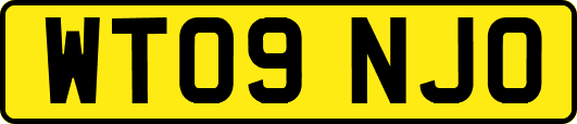 WT09NJO