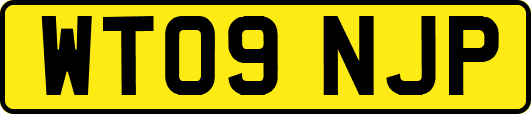 WT09NJP