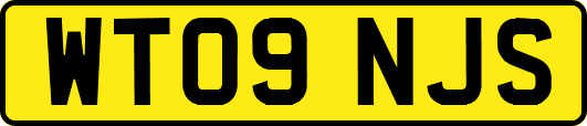WT09NJS