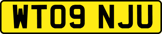 WT09NJU