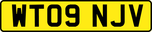 WT09NJV