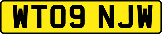 WT09NJW