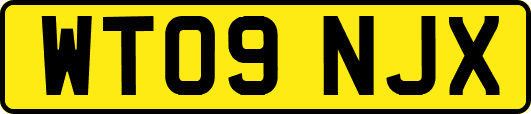 WT09NJX