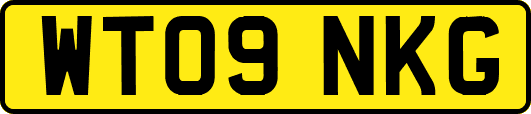 WT09NKG