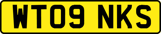 WT09NKS