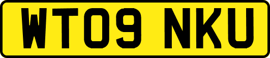WT09NKU