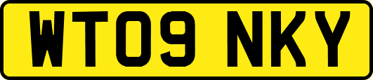 WT09NKY