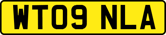 WT09NLA