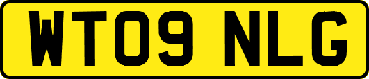 WT09NLG