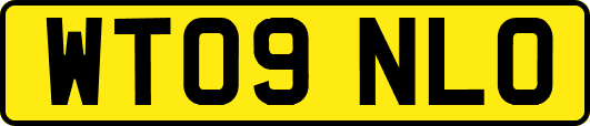 WT09NLO