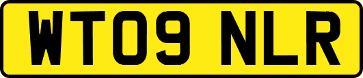 WT09NLR