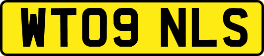 WT09NLS