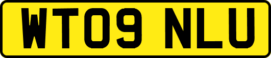 WT09NLU