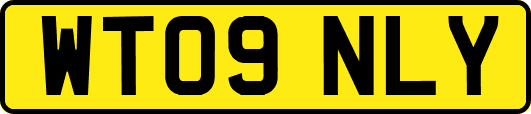 WT09NLY