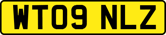 WT09NLZ