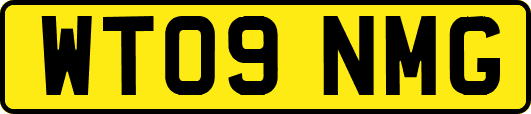 WT09NMG