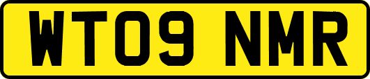 WT09NMR
