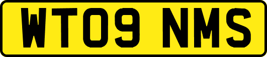 WT09NMS