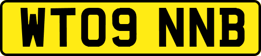 WT09NNB