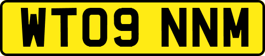 WT09NNM