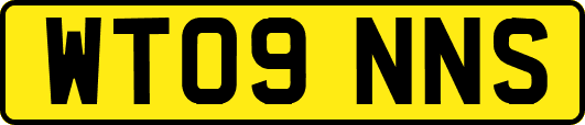 WT09NNS