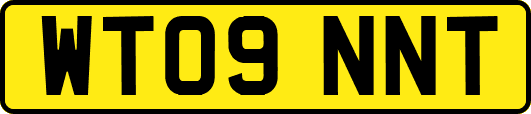 WT09NNT