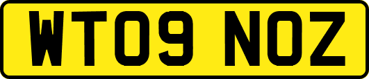 WT09NOZ