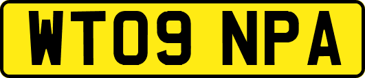 WT09NPA