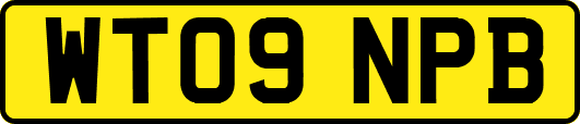 WT09NPB