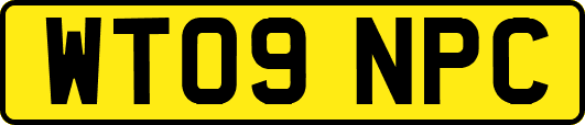 WT09NPC