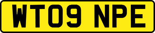 WT09NPE