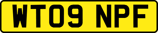 WT09NPF
