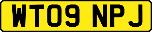 WT09NPJ
