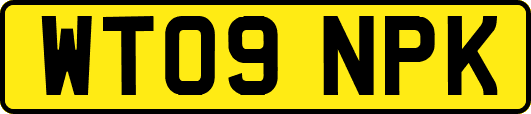 WT09NPK