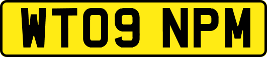 WT09NPM