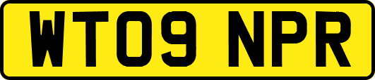 WT09NPR